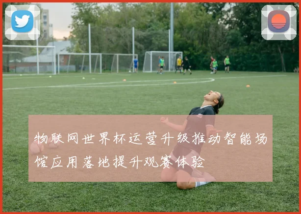 物联网世界杯运营升级推动智能场馆应用落地提升观赛体验