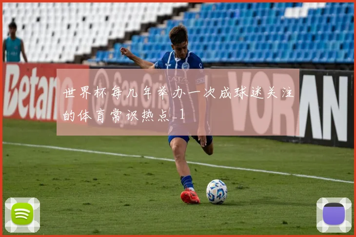 世界杯每几年举办一次成球迷关注的体育常识热点_1