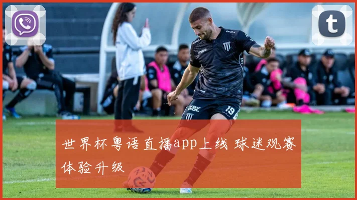 世界杯粤语直播app上线 球迷观赛体验升级