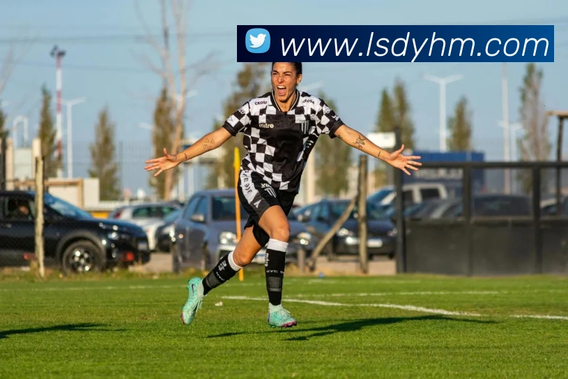 乐鱼网页版登录入口平台生态图